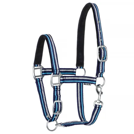 ZariSilverMini niebieski.jpg