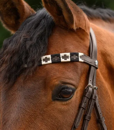 X-Line Browband 2.jpg