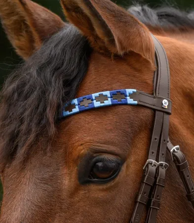 Polo niebieski 2.jpg