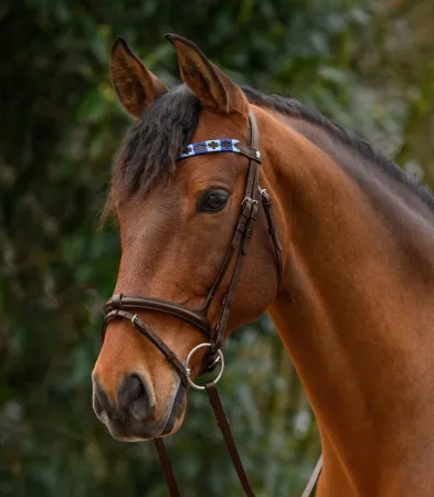 Polo niebieski 3.jpg