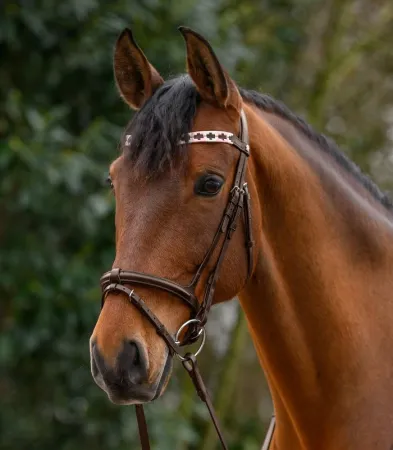Polo różowy 3.jpg