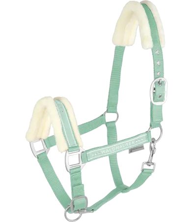 Elegant pistacja 1.png