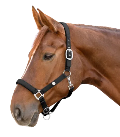 Trinidad czarny 2.png