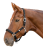 Trinidad czarny 2.png