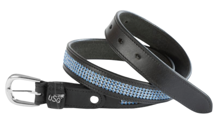 Pasek PRINCESS USG aqua.png