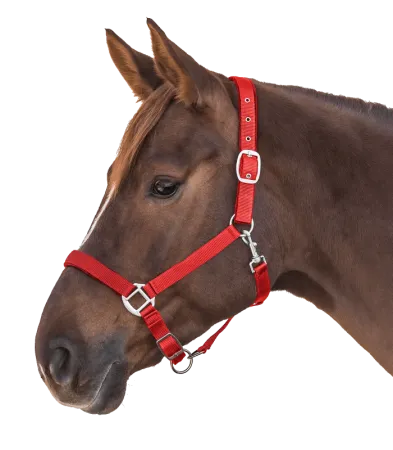 Satin czerwony 2.png