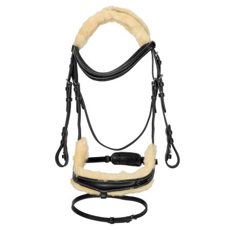 Ogłowie START Andromeda anatomiczne 3.jpg