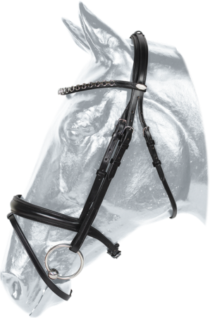 Ogłowie KENTAUR Columbia