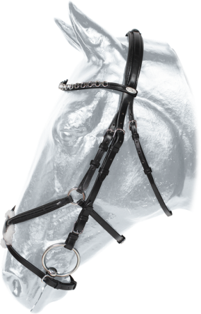 Ogłowie KENTAUR Monterrey