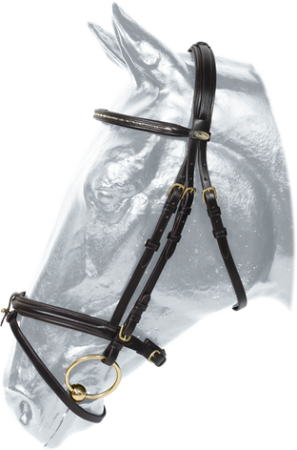 Ogłowie KENTAUR Summerville