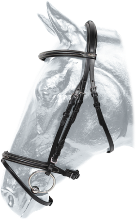 Ogłowie KENTAUR Hartford