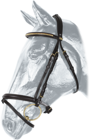 Ogłowie Kentaur Madison 10208.png