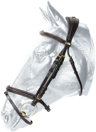 Ogłowie Kentaur Hamilton.png