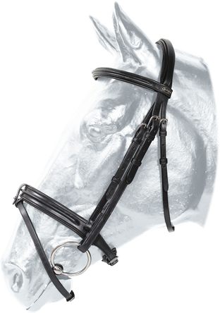 Ogłowie kentaur spring hill 1.png