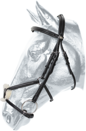 Ogłowie KENTAUR MURRAY 10170.png