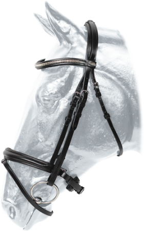 Ogłowie KENTAUR GRIFFIN 10197.png