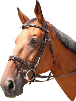 Ogłowie KENTAUR Marysville 10238.jpg