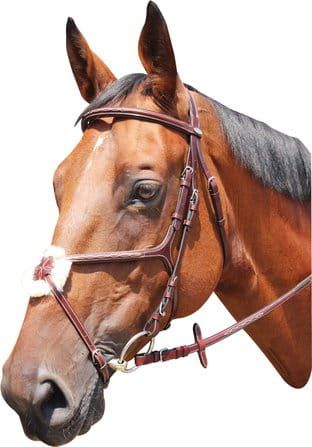 Ogłowie KENTAUR Knoxville 10239.jpg