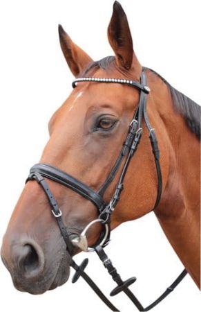 Ogłowie KENTAUR Springfield 1200.jpg