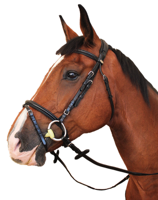 Ogłowie KENTAUR Tryon 10280.png