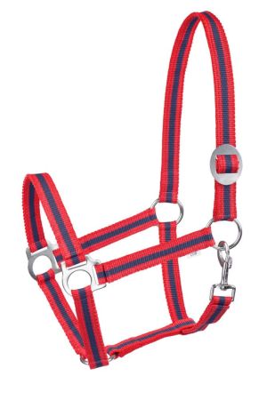 Kantar START Economic czerwono niebieski.jpg