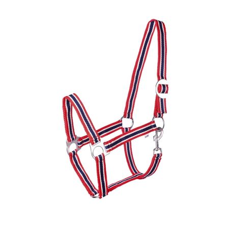 Kantar START Economic RIN.jpg