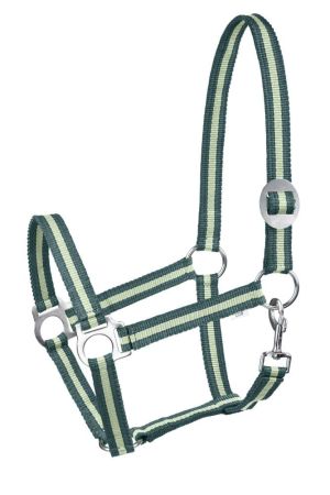 Kantar START Economic DG AG.jpg