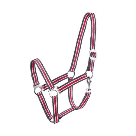 Kantar START Economic DWR.jpg