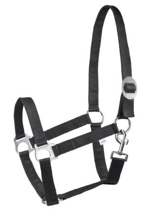 Kantar START Economic BK.jpg