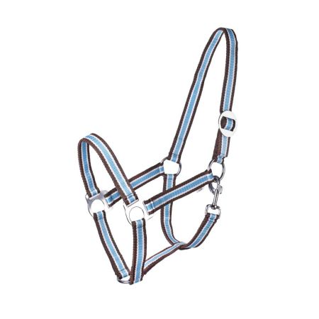 Kantar START BWT.jpg