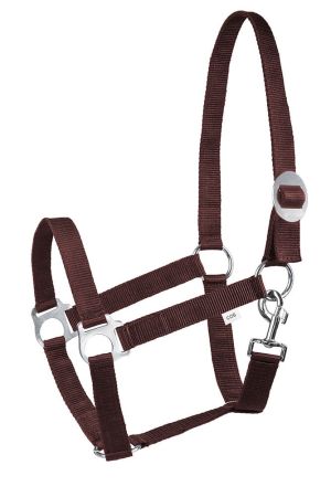 Kantar START Economic BR.jpg