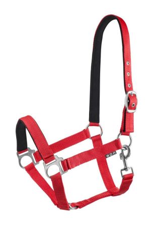 Kantar START Economic Lined RE.jpg