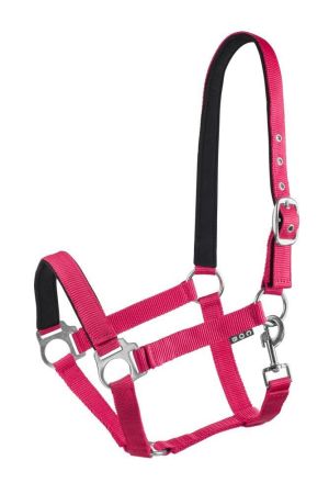 Kantar START Economic Lined RBS.jpg