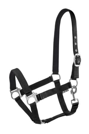 Kantar START Economic Lined BK.jpg