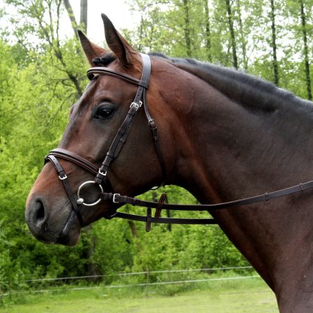 Ogłowie sportowe podszywane DAw MAG.jpg