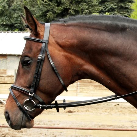 Ogłowie DAW-MAG sportowe podszywane bez wodzy podszycie brąz.jpg