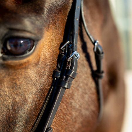Ogłowie HORZE Weston Bridle brązowe1.jpg