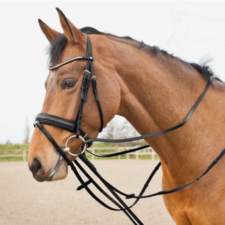 Wodze HORZE ściągające Sparta czarne.jpg