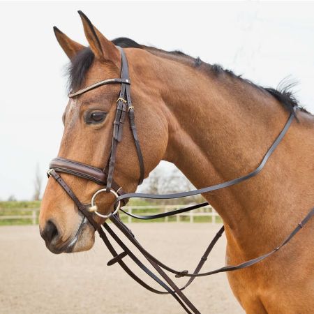 Wodze HORZE ściągające Sparta ciemnobrązowe.jpg