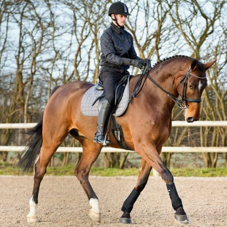 Ochraniacze dla konia HORZE czarne1.jpg