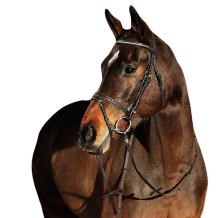 Ogłowie_HORZE_Weston_brązowe2-removebg-preview.png