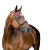Ogłowie HORZE Clermont czarne1.png