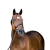 Ogłowie HORZE Clermont ciemnobrązowe3.png