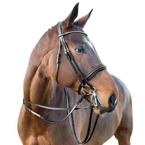 Przejdź do produktu Ogłowie HORZE Weymouth munsztukowe czarne