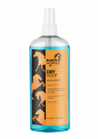 Spray BLACK HORSE do pielęgnacji rowków strzałkowych 300 ml.jpg