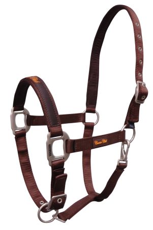 Kantar CANTER CLUB nylonowy brązowy.jpg