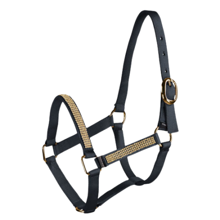 Kantar HORZE na źrebię kryształowy ciemnoniebieski.png