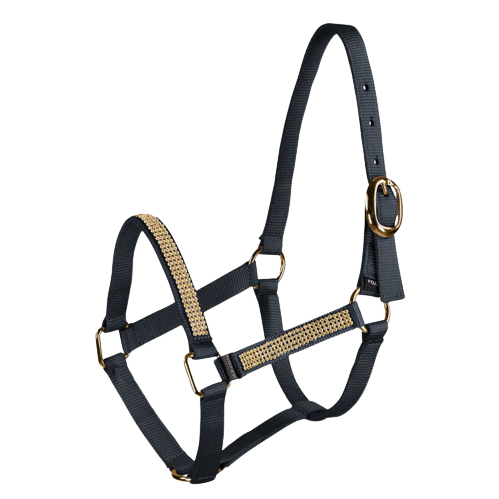 Przejdź do produktu Kantar HORZE na źrebię kryształowy ciemnoniebieski