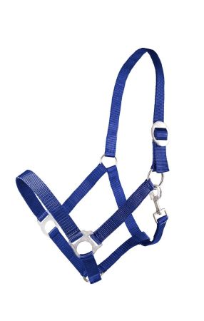 Kantar CANTER CLUB Basis taśmowy granatowy.jpg