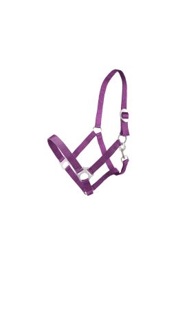 Kantar CANTER CLUB Basis taśmowy winny.jpg